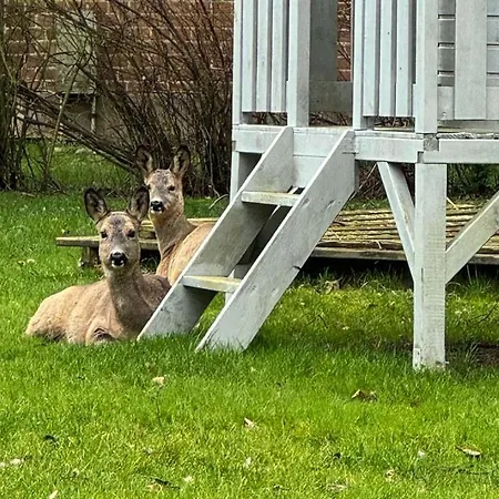 Voss 12 Apartament *