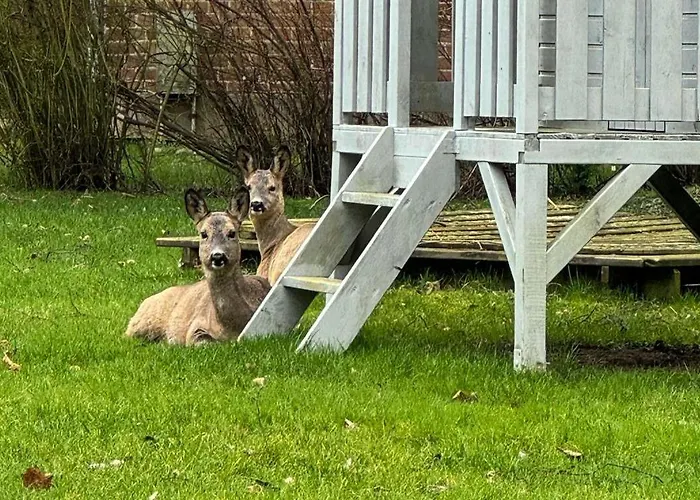 Voss 12 Appartamento *